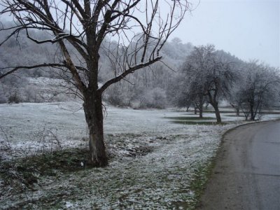 Road to Residencia after snowfall (2).JPG