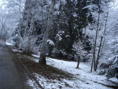 Road to Residencia after snowfall (5).as above