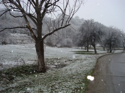 Road to Residencia after snowfall (1).JPG