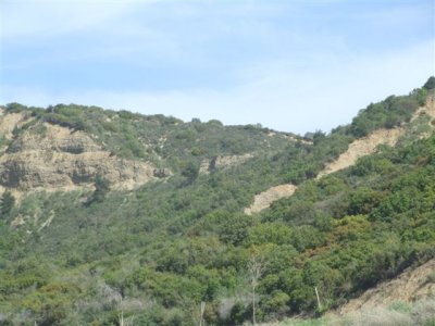 Shrapnel Valley from the seaward side (9).JPG