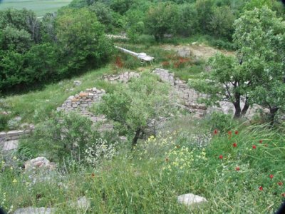 Ancient city of Troy (21).JPG