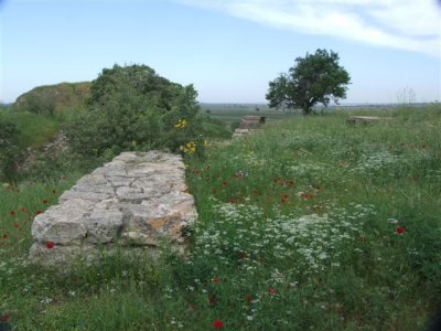 Ancient city of Troy (37).JPG