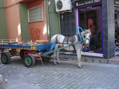 Canakkale streets scenes (2).JPG