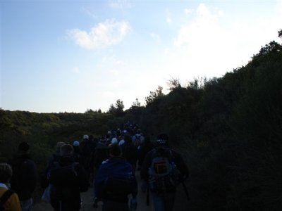 The March to Lone Pine- 3.5 Kms mostly uphill (14).JPG