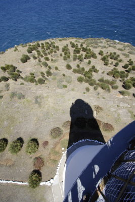 Lighthouse, Cape Willoughby