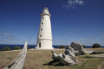 Lighthouse, Cape Willoughby