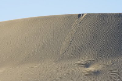 Sand dunes, Little Sahara