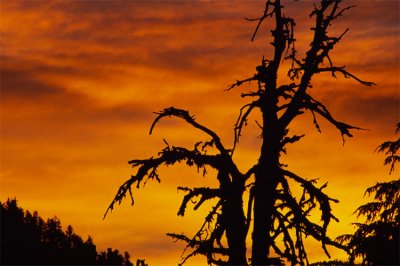 Crater Lake sunrise