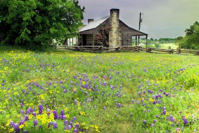 Old Baylor Park