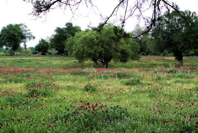 Wesley Texas Hy. 109