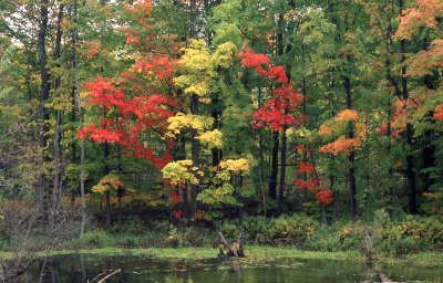 Caledon Hills.jpg