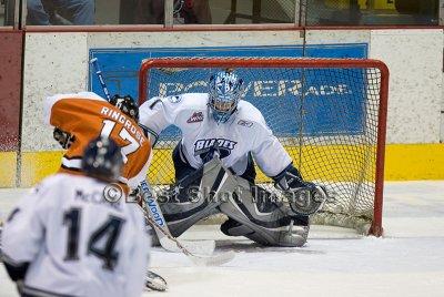IMG_7394.jpg