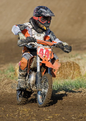 SMC_2773.jpg