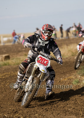 SMC_3323.jpg