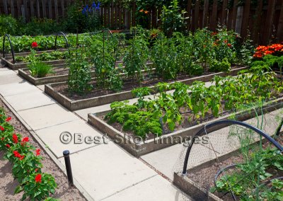 Vander Heiden Garden
