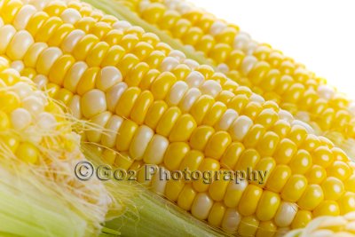 Fresh corn.jpg
