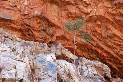 Ormiston Gorge - Central Australia