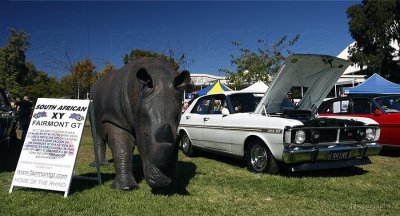 Falcon GT Nationals