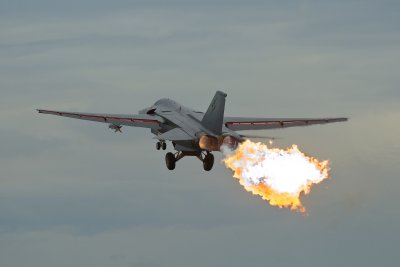 F-111C 'Pig'