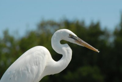 DSC_0061.jpg