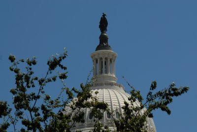 DSC_0028.jpg