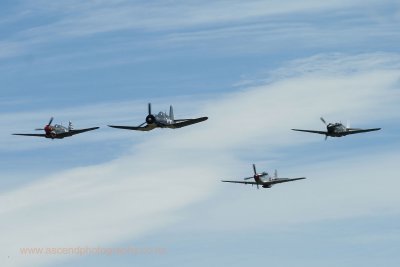 Warbirds Over Wairarapa 2009