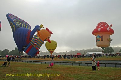 Balloons Over Waikato 2010