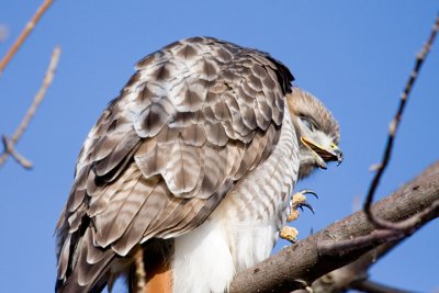 IMG_8605.jpg