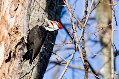 IMG_1506.jpg