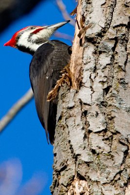 IMG_1548.jpg
