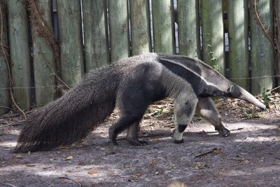 Images from Busch Gardens & SeaWorld
