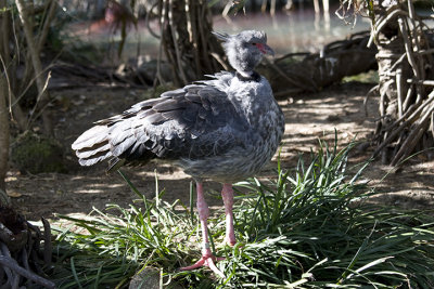 Images taken at SeaWorld