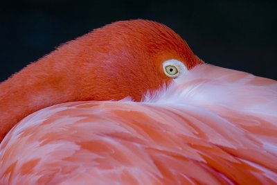 IMG_9725.jpg