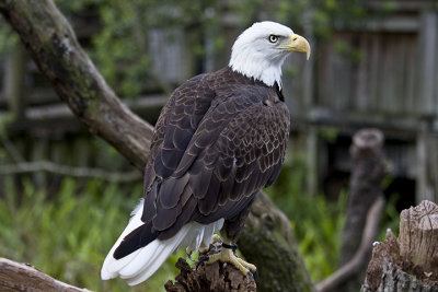 Lowry Zoo, Tampa