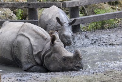 Wildlife at Lowry Zoo