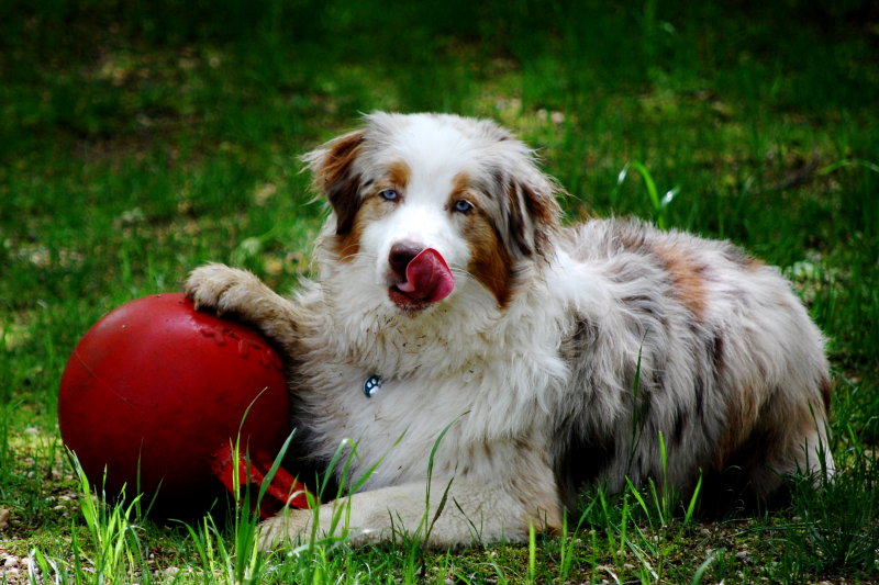 My Ball is Bigger