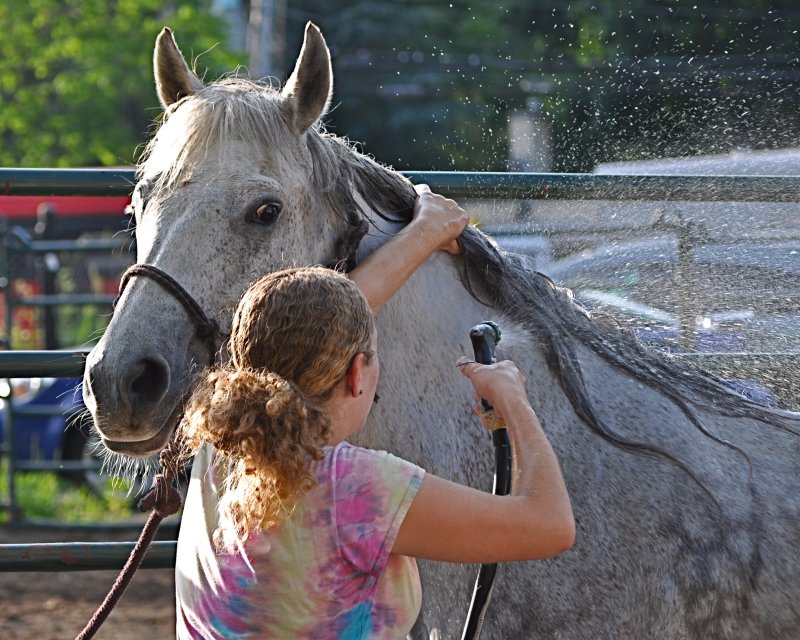 Not Sure About Getting Hosed Down