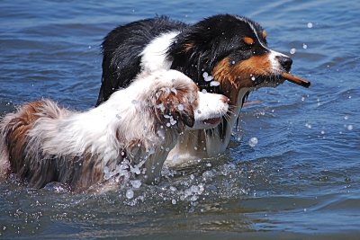 Water Play