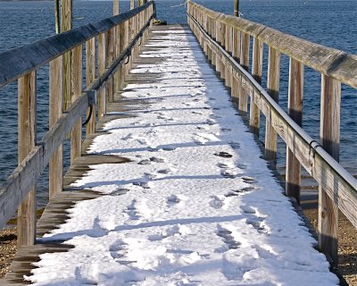 Long Cold Dock