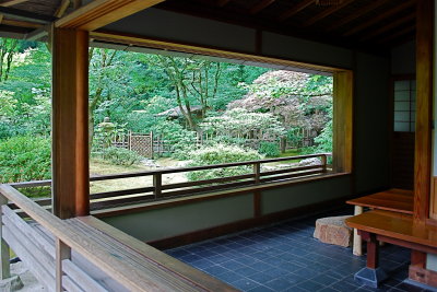 The Beautiful Lines of a Japanese Garden