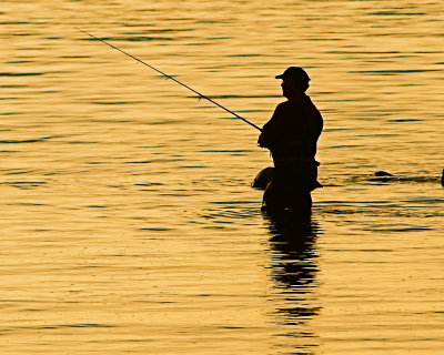 Fishing in a Sea of Gold