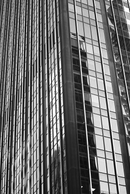 Tall, Shiny Windows