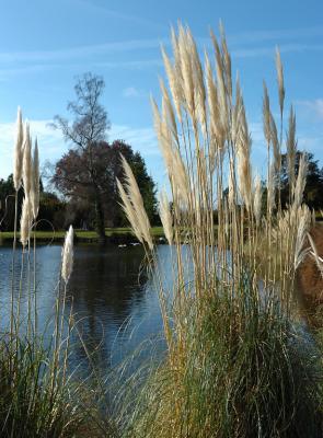 Wakehurst Place, Sussex