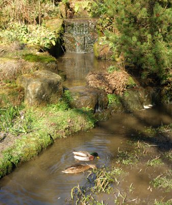 Wakehurst Place, Sussex