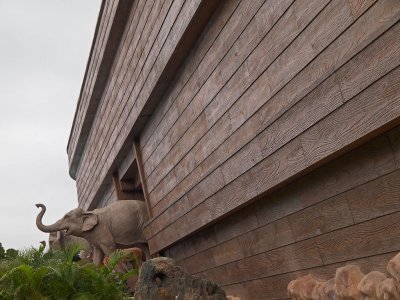 The Noah Ark At Ma Wan