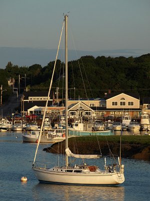 P8093323a.jpg