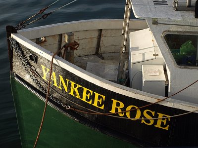P8093356a.jpg
