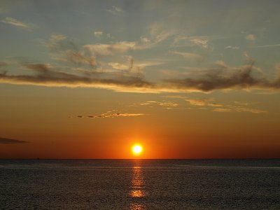 P8093288a.jpg
