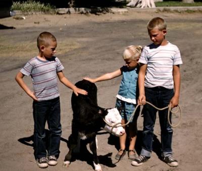 Farm Fun