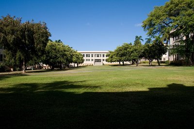 Grassy Rectangle